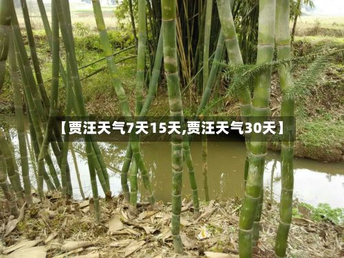 【贾汪天气7天15天,贾汪天气30天】-第2张图片