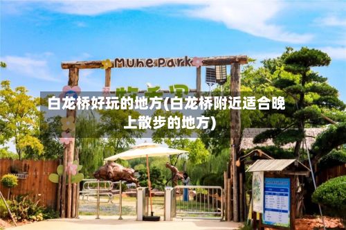 白龙桥好玩的地方(白龙桥附近适合晚上散步的地方)