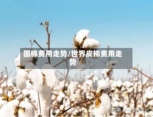 国棉费用走势/世界皮棉费用走势