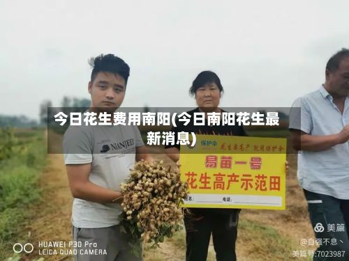 今日花生费用南阳(今日南阳花生最新消息)-第3张图片