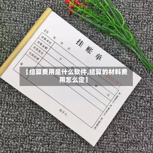 【结算费用是什么软件,结算的材料费用怎么定】-第2张图片