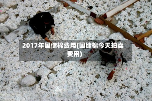 2017年国储棉费用(国储棉今天拍卖费用)-第3张图片