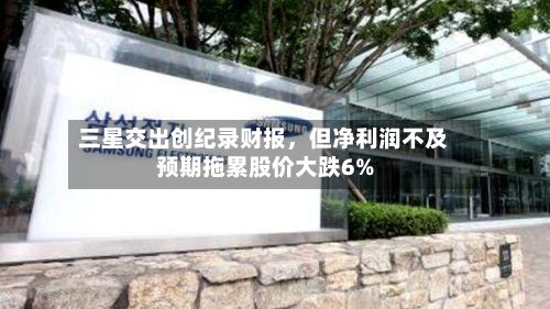 三星交出创纪录财报	，但净利润不及预期拖累股价大跌6%-第2张图片