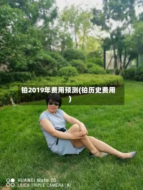 铂2019年费用预测(铂历史费用)