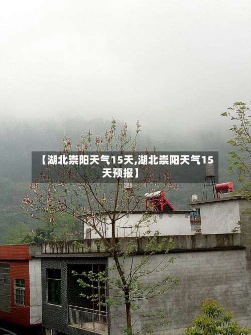 【湖北崇阳天气15天,湖北崇阳天气15天预报】