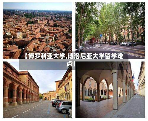 【博罗利亚大学,博洛尼亚大学留学难点】-第3张图片