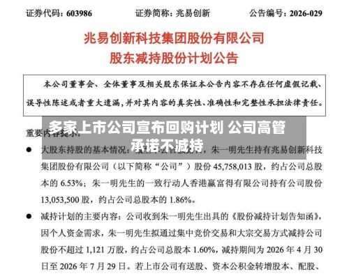 多家上市公司宣布回购计划 公司高管承诺不减持-第2张图片