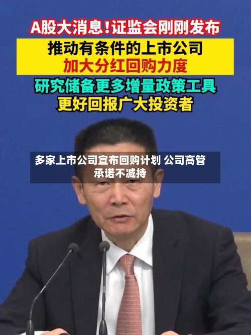 多家上市公司宣布回购计划 公司高管承诺不减持-第3张图片