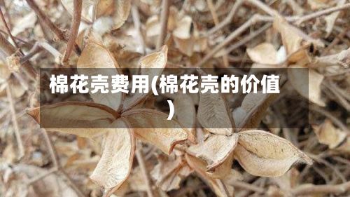 棉花壳费用(棉花壳的价值)-第2张图片