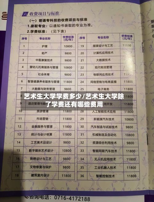 艺术生大学学费多少/艺术生大学除了学费还有哪些费用-第3张图片