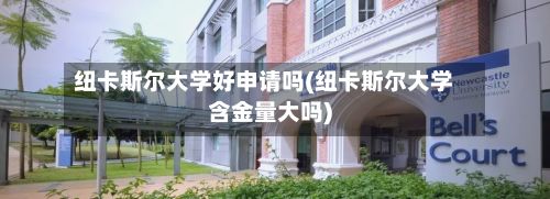 纽卡斯尔大学好申请吗(纽卡斯尔大学含金量大吗)