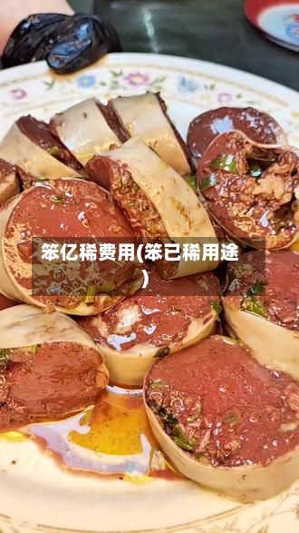 笨亿稀费用(笨已稀用途)