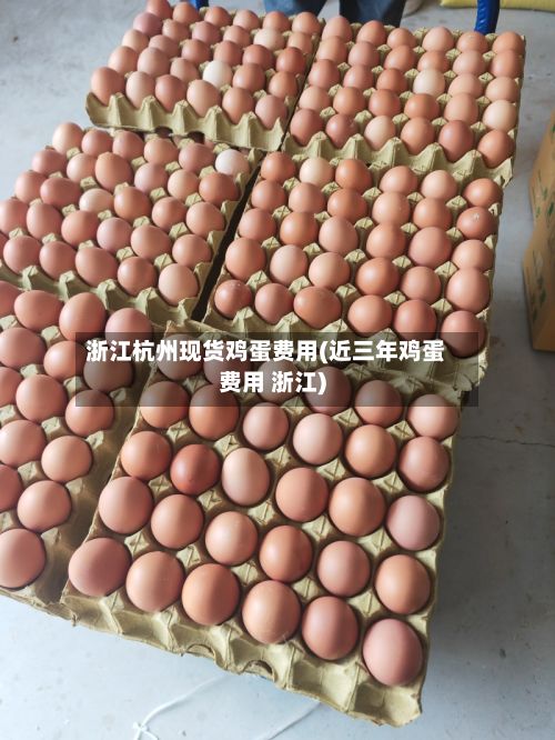浙江杭州现货鸡蛋费用(近三年鸡蛋费用 浙江)-第2张图片