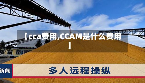 【cca费用,CCAM是什么费用】-第2张图片