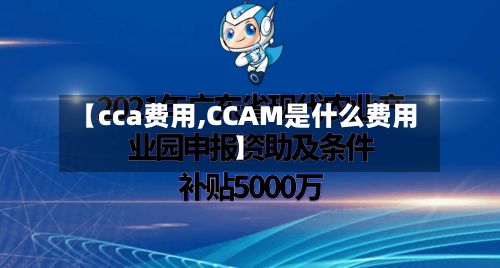 【cca费用,CCAM是什么费用】