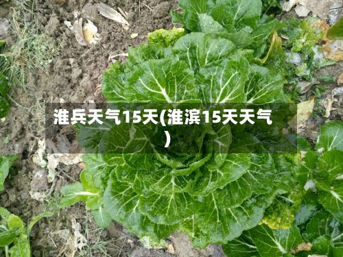淮兵天气15天(淮滨15天天气)
