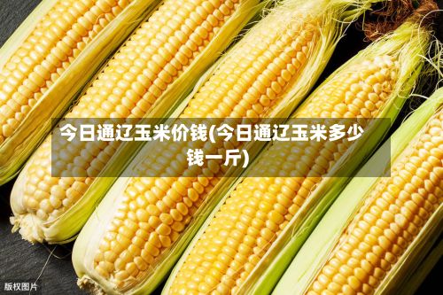 今日通辽玉米价钱(今日通辽玉米多少钱一斤)-第2张图片