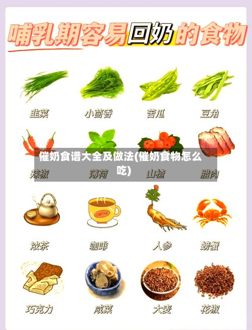 催奶食谱大全及做法(催奶食物怎么吃)