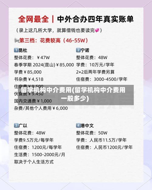 留学机构中介费用(留学机构中介费用一般多少)