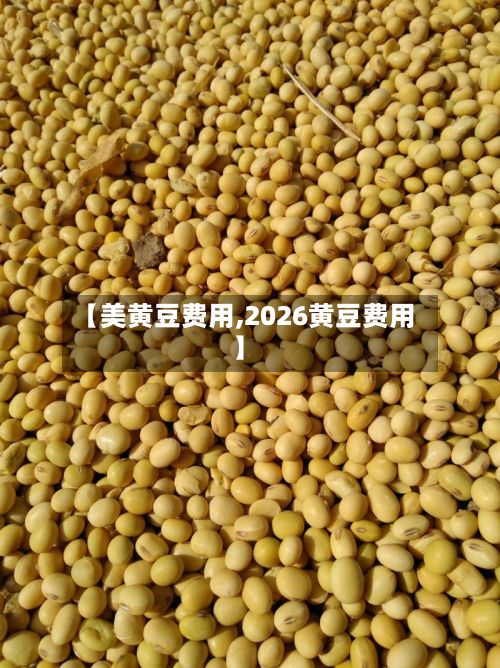 【美黄豆费用,2026黄豆费用】