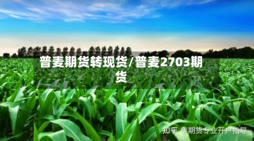 普麦期货转现货/普麦2703期货-第3张图片