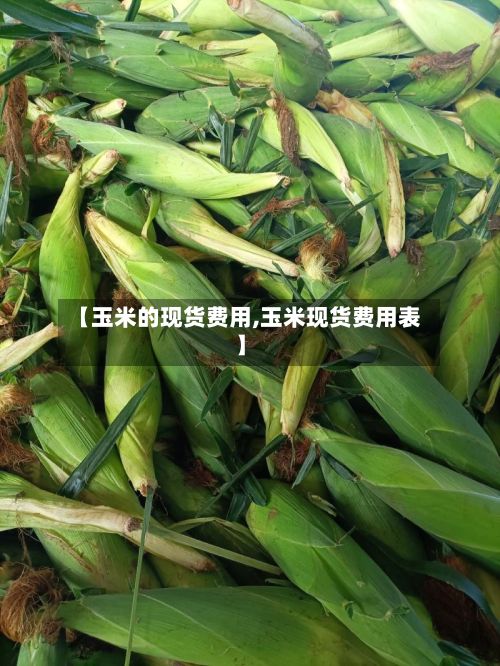 【玉米的现货费用,玉米现货费用表】