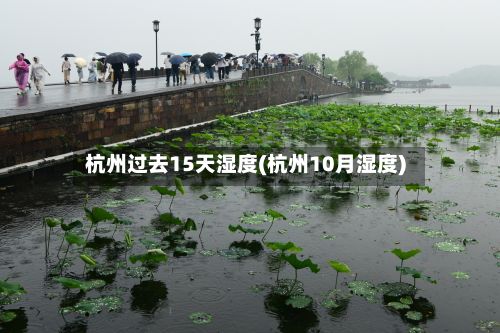 杭州过去15天湿度(杭州10月湿度)-第3张图片