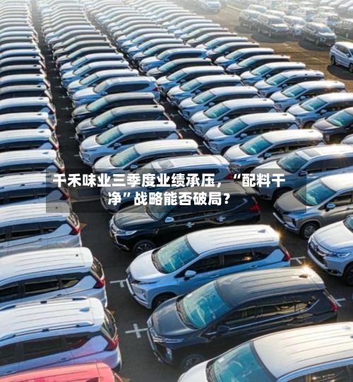 千禾味业三季度业绩承压	，“配料干净	”战略能否破局？-第3张图片