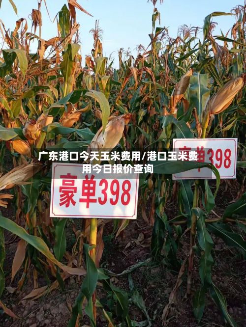 广东港口今天玉米费用/港口玉米费用今日报价查询