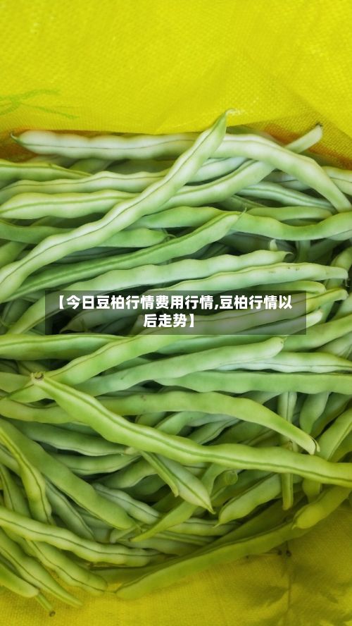 【今日豆柏行情费用行情,豆柏行情以后走势】-第3张图片