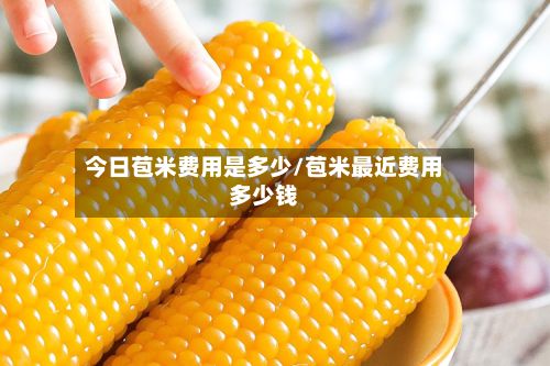 今日苞米费用是多少/苞米最近费用多少钱