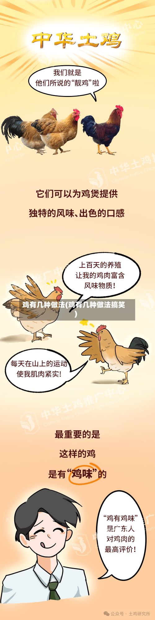 鸡有几种做法(鸡有几种做法搞笑)