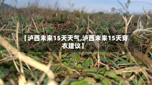 【泸西未来15天天气,泸西未来15天穿衣建议】