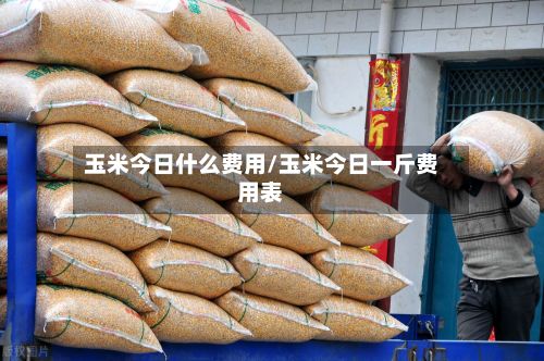 玉米今日什么费用/玉米今日一斤费用表