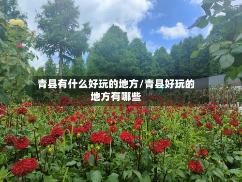 青县有什么好玩的地方/青县好玩的地方有哪些