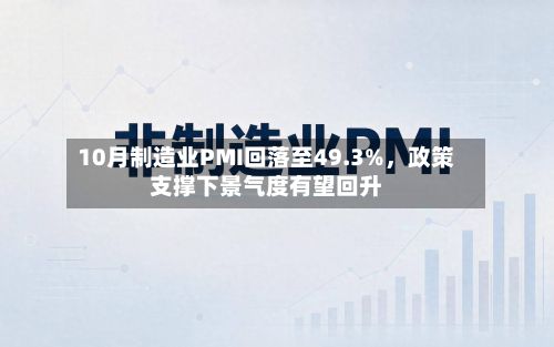 10月制造业PMI回落至49.3%，政策支撑下景气度有望回升-第3张图片