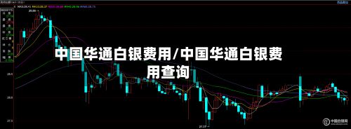 中国华通白银费用/中国华通白银费用查询-第2张图片