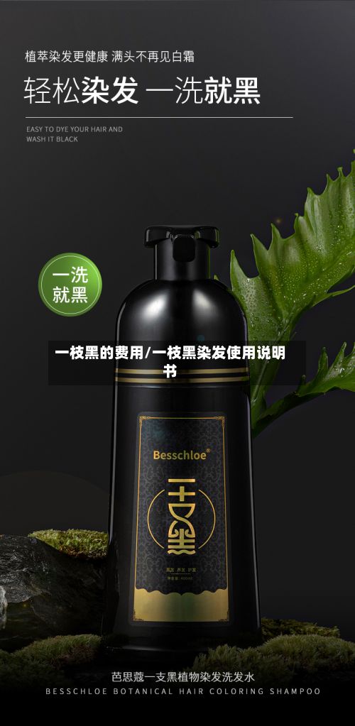 一枝黑的费用/一枝黑染发使用说明书-第2张图片