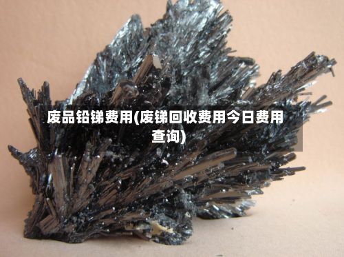 废品铅锑费用(废锑回收费用今日费用查询)