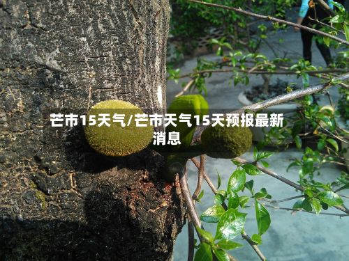 芒市15天气/芒市天气15天预报最新消息