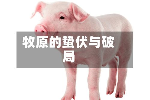 牧原的蛰伏与破局-第2张图片