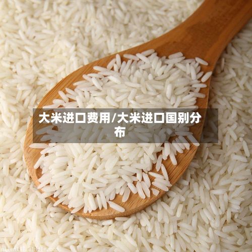 大米进口费用/大米进口国别分布-第2张图片