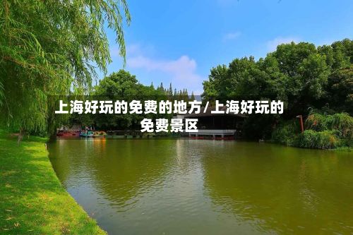 上海好玩的免费的地方/上海好玩的免费景区