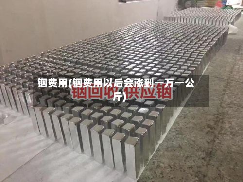 铟费用(铟费用以后会涨到一万一公斤)-第2张图片