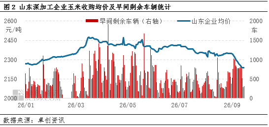 “玉”见未来：华北新季玉米价格持续下跌	，东北产区如何应对？